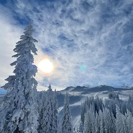 Jahorina: A Charming Retreat